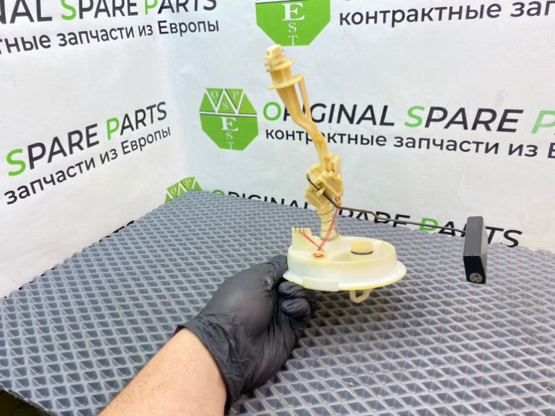 Дут, 1290 рублей, Калининград
