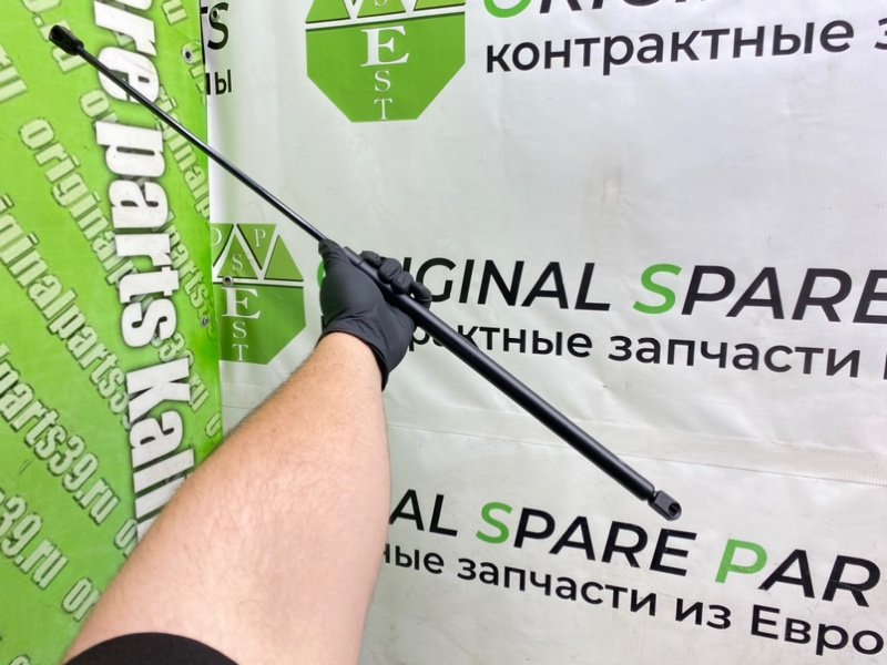 Амортизатор капота, 890 рублей, Калининград