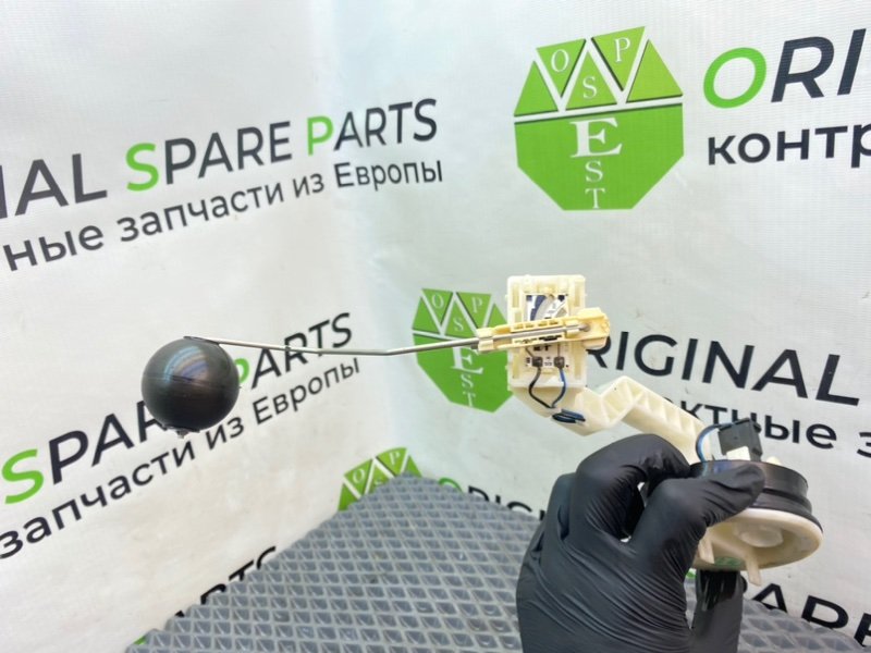Дут, 790 рублей, Калининград