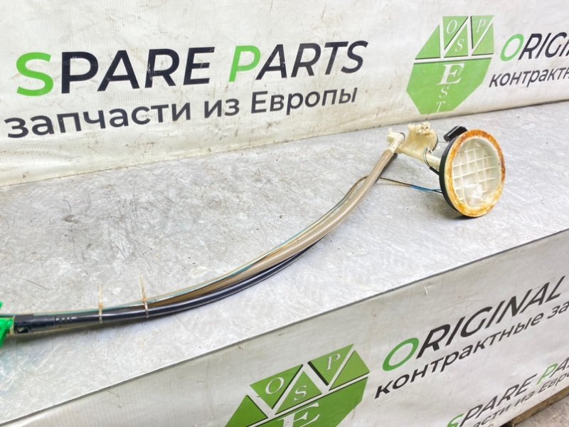 Дут, 2990 рублей, Калининград