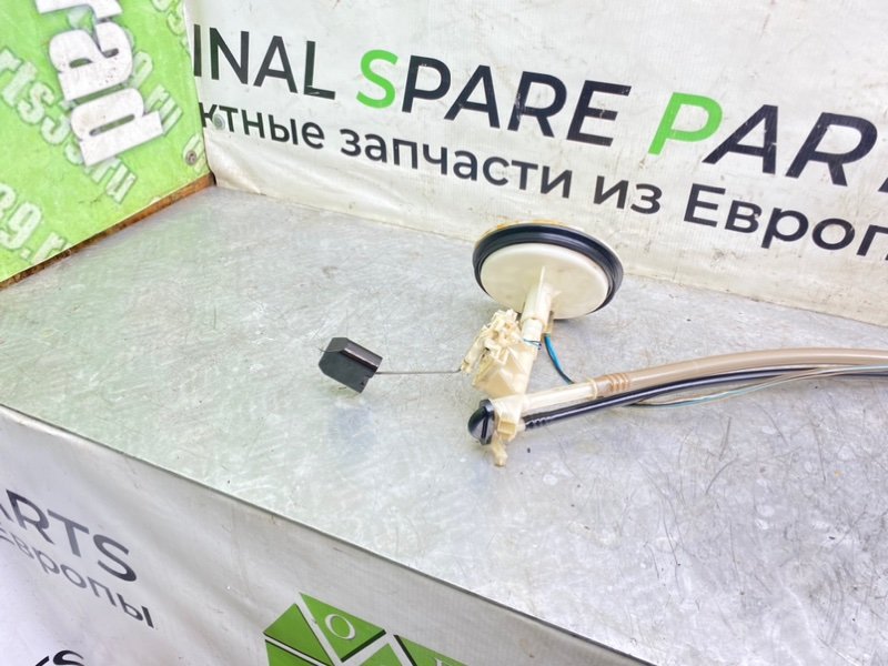 Дут, 2990 рублей, Калининград