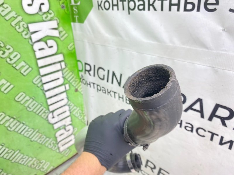Патрубок интеркулера, 1290 рублей, Калининград