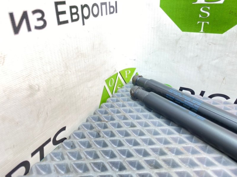 Амортизаторы багажника, 990 рублей, Калининград