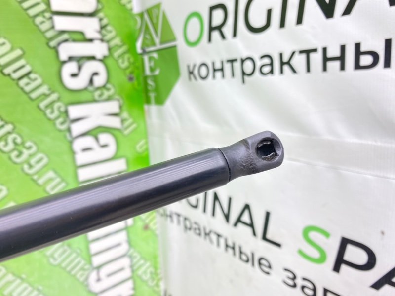 Амортизатор капота, 990 рублей, Калининград