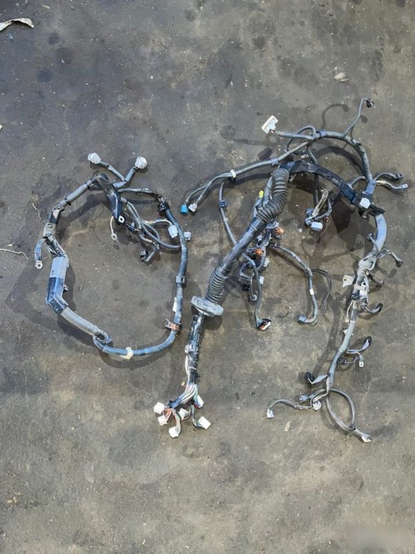 Коса проводки, 10000 рублей, Москва