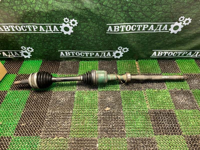 Привод, 25000 рублей, Москва