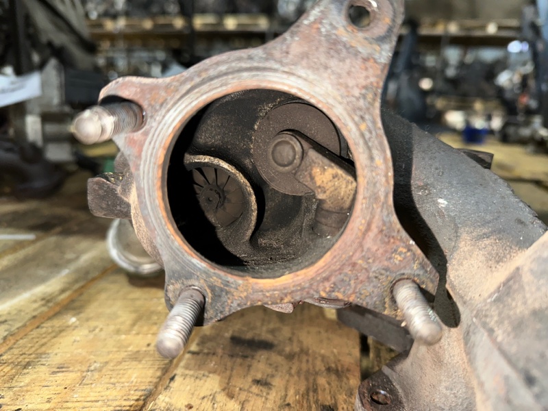 Турбина, 8000 рублей, Москва