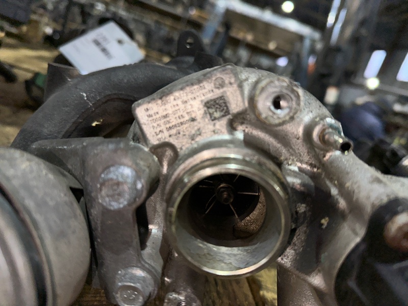 Турбина, 8000 рублей, Москва