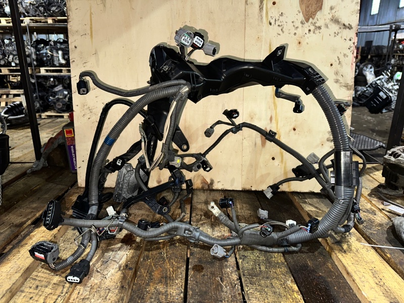 Проводка ДВС, 15000 рублей, Москва