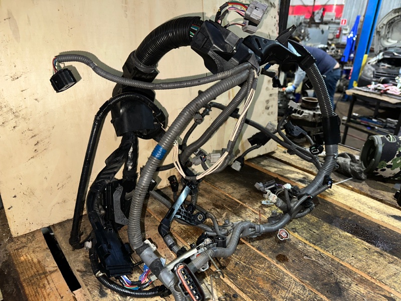 Проводка ДВС, 15000 рублей, Москва