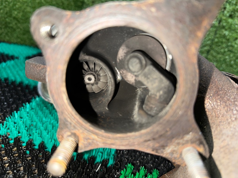 Турбина, 8000 рублей, Москва