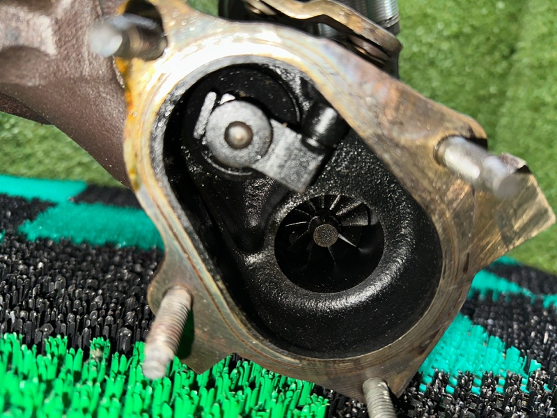 Турбина, 8000 рублей, Москва