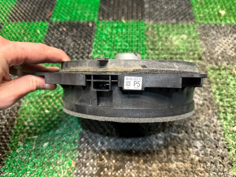 Динамик, 2000 рублей, Москва