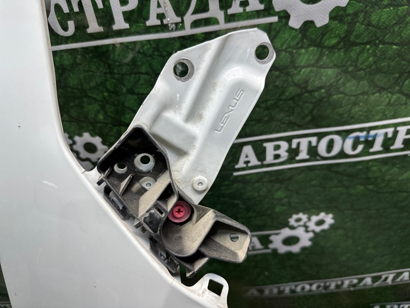 Крыло, 30000 рублей, Москва