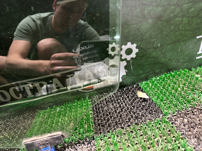 Стекло двери, 10000 рублей, Москва