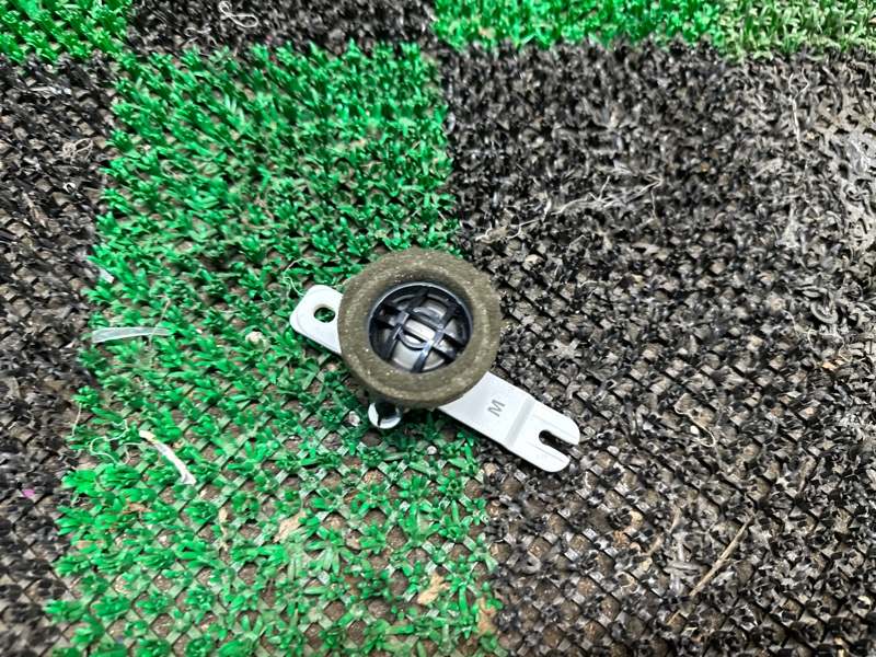 Динамик, 2000 рублей, Москва