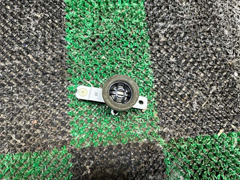 Динамик, 2000 рублей, Москва