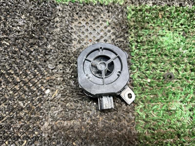 Звуковой сигнал, 5000 рублей, Москва