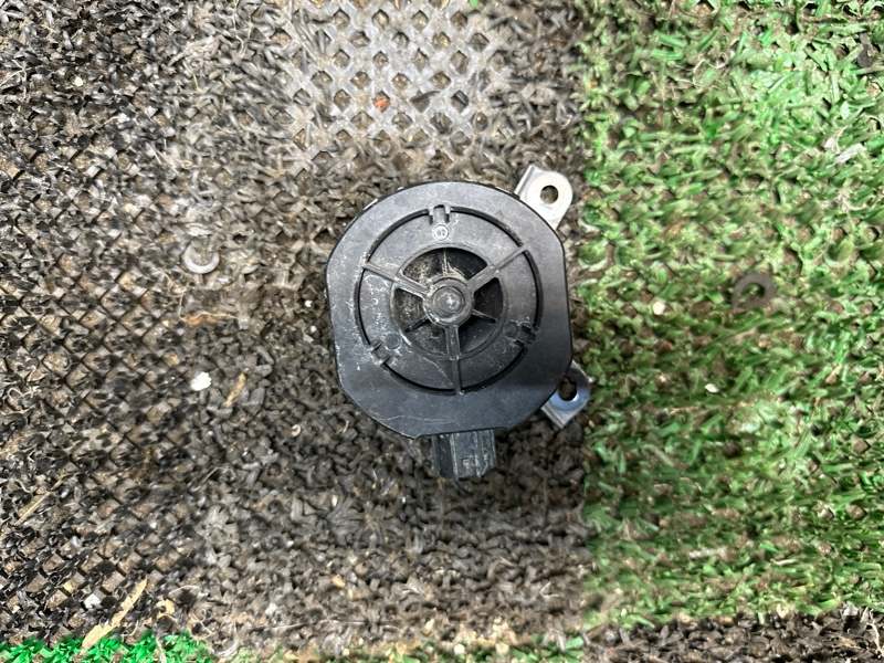 Звуковой сигнал, 5000 рублей, Москва