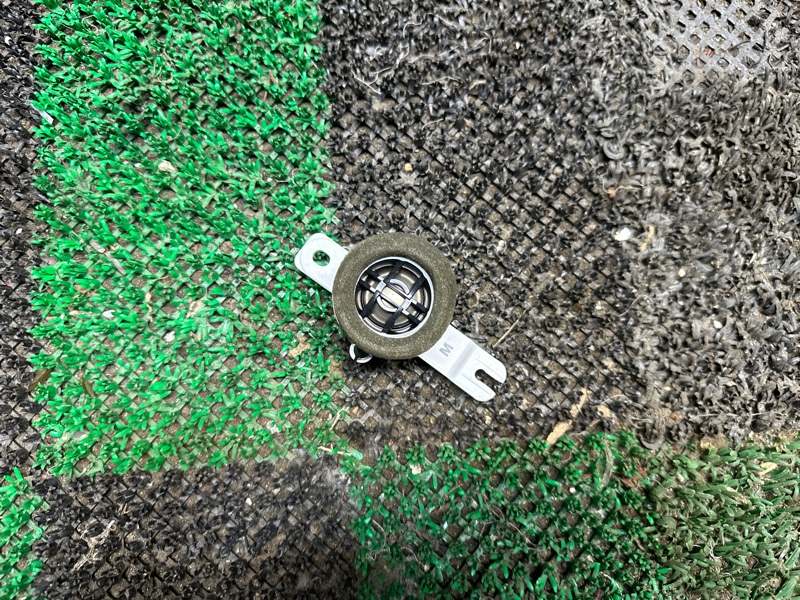 Динамик, 2000 рублей, Москва