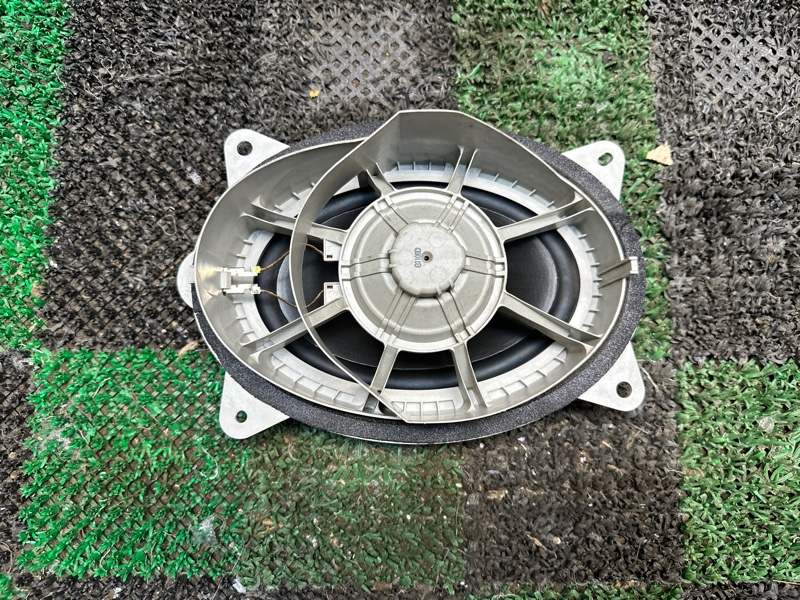 Динамик, 1000 рублей, Москва