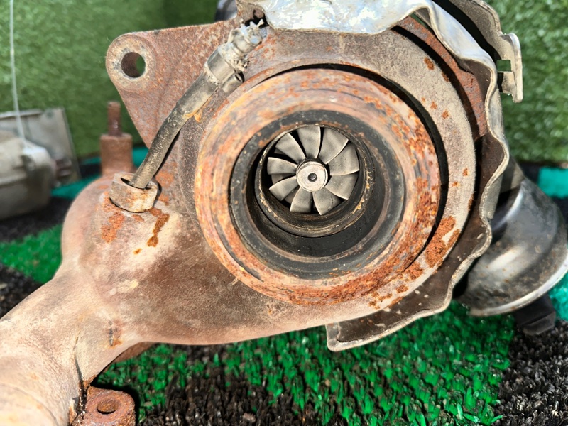 Турбина, 12000 рублей, Москва