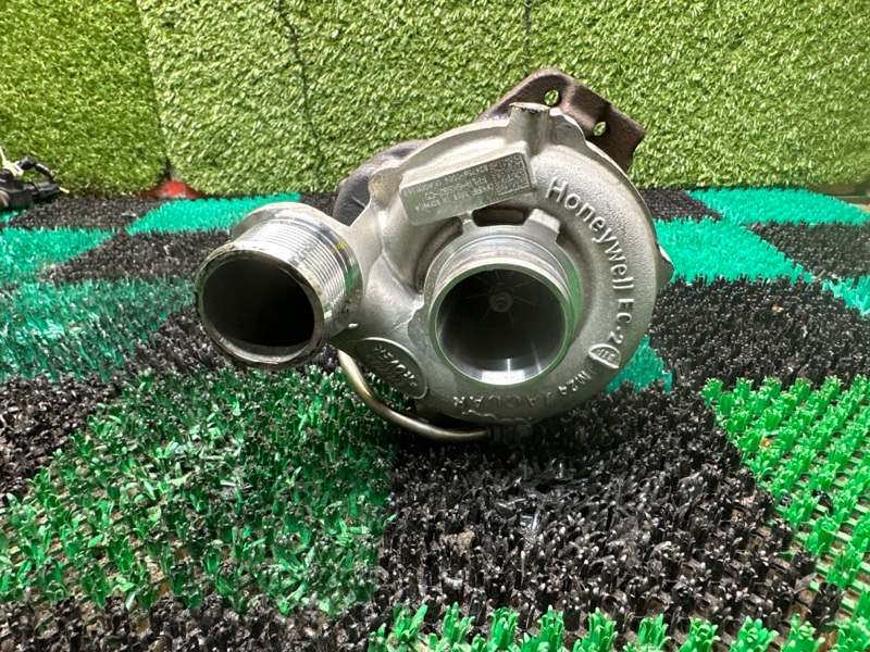 Турбина, 40000 рублей, Москва