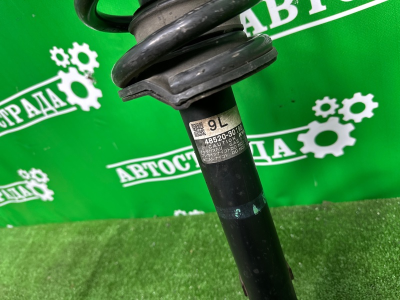 Амортизатор, 10000 рублей, Москва