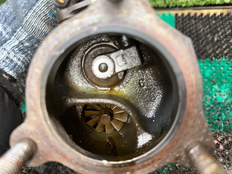 Турбина, 10000 рублей, Москва