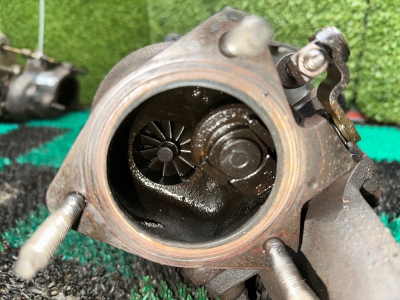 Турбина, 15000 рублей, Москва