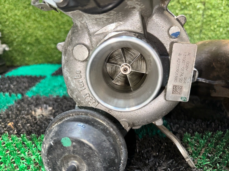 Турбина, 35000 рублей, Москва