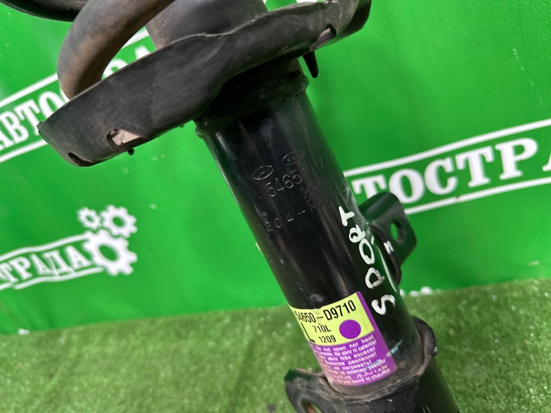 Амортизатор, 10000 рублей, Москва