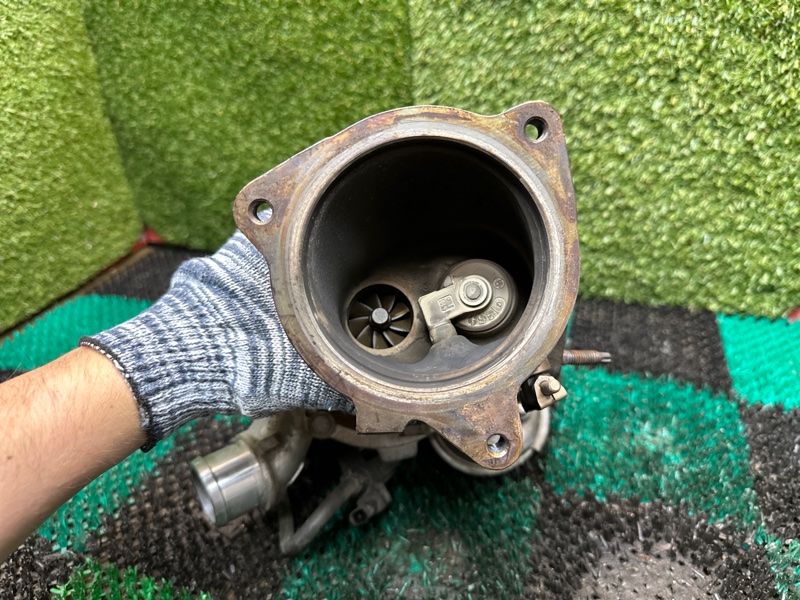 Турбина, 12000 рублей, Москва