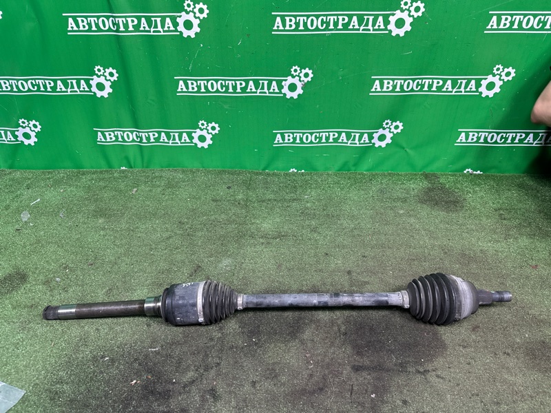 Привод, 25000 рублей, Москва