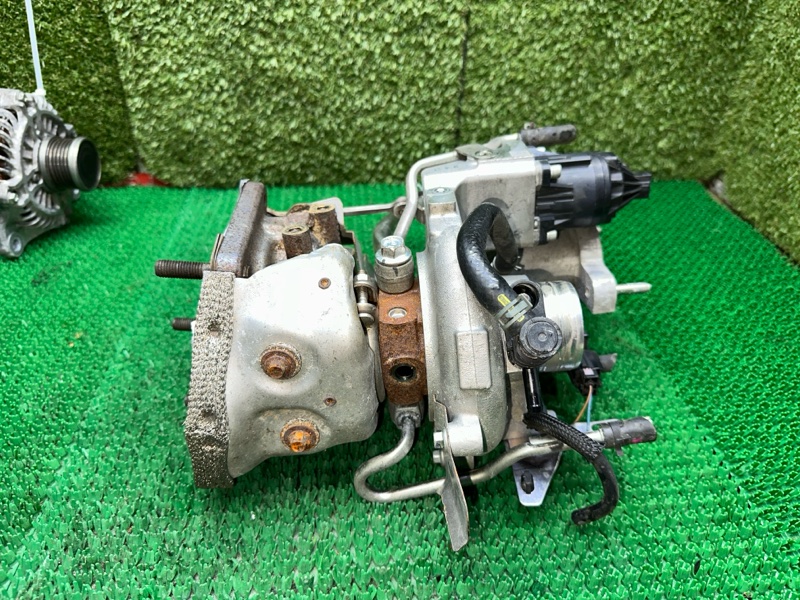 Турбина, 55000 рублей, Москва