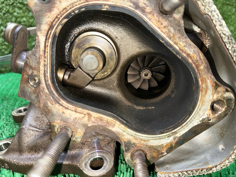 Турбина, 55000 рублей, Москва