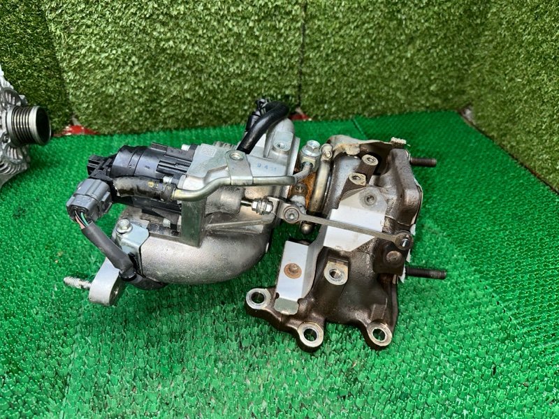 Турбина, 55000 рублей, Москва