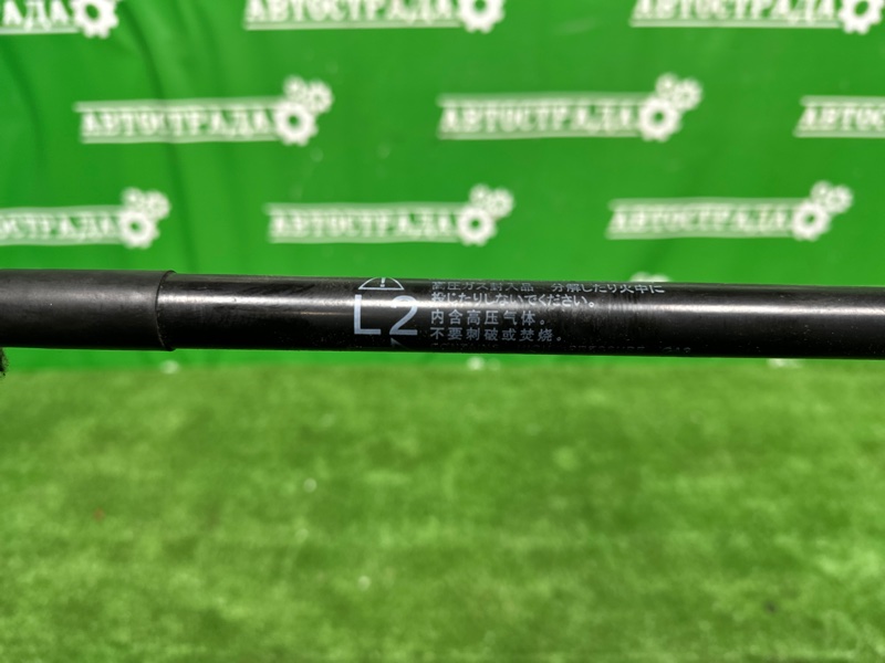 Амортизатор стекла двери багажника, 1500 рублей, Москва