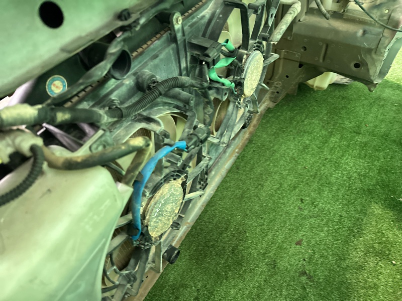 Nose cut, 115000 рублей, Москва