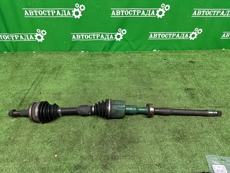 Привод, 25000 рублей, Москва