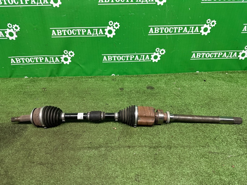 Привод, 100000 рублей, Москва