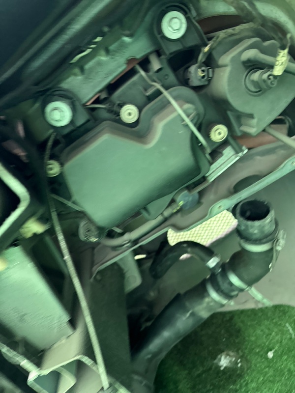 Nose cut, 150000 рублей, Москва