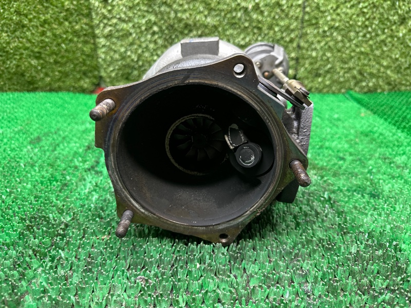 Турбина, 40000 рублей, Москва