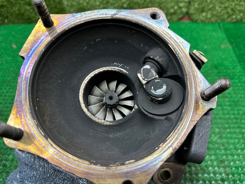 Турбина, 40000 рублей, Москва