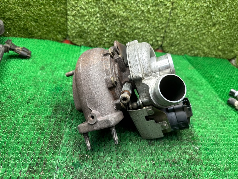 Турбина, 12000 рублей, Москва