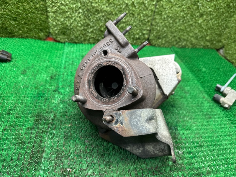 Турбина, 12000 рублей, Москва