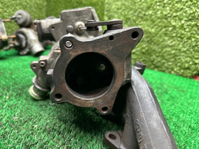 Турбина, 17000 рублей, Москва