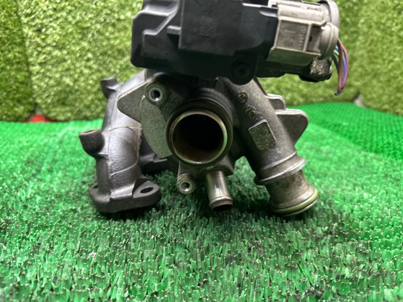 Турбина, 17000 рублей, Москва