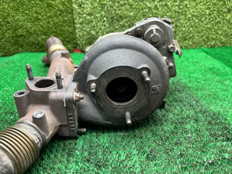 Турбина, 30000 рублей, Москва