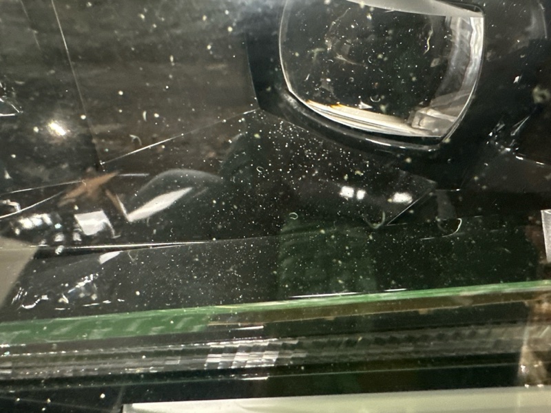 Фара, 50000 рублей, Москва